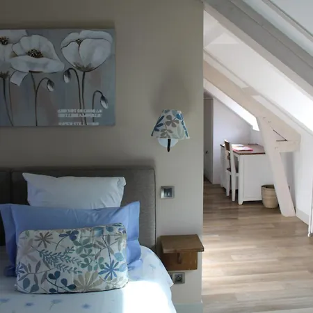 Гостьовий будинок Domaine Du Clos Fleuri - 4*